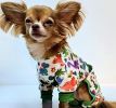 Soft Dog Pajamas